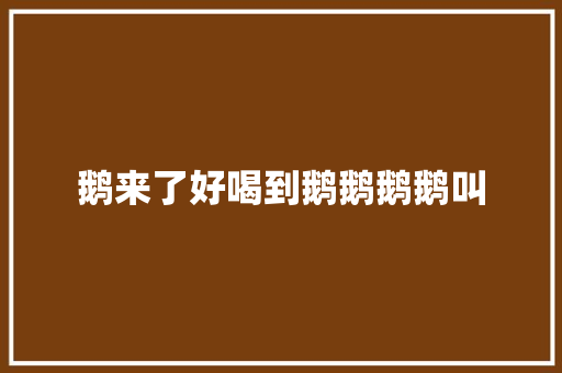 鹅来了好喝到鹅鹅鹅鹅叫