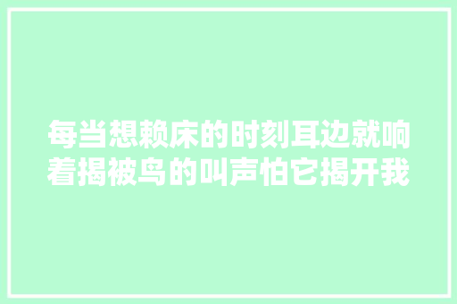 每当想赖床的时刻耳边就响着揭被鸟的叫声怕它揭开我的被子