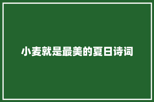 小麦就是最美的夏日诗词