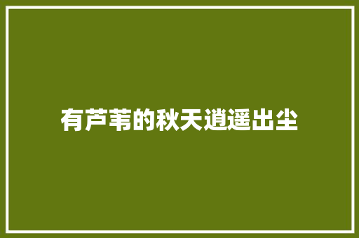 有芦苇的秋天逍遥出尘