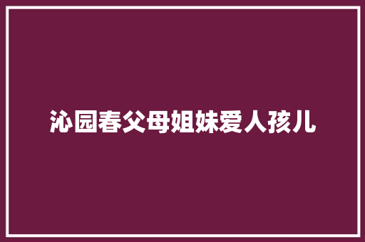 沁园春父母姐妹爱人孩儿