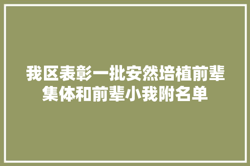 我区表彰一批安然培植前辈集体和前辈小我附名单