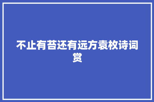 不止有苔还有远方袁枚诗词赏