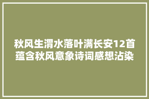 秋风生渭水落叶满长安12首蕴含秋风意象诗词感想沾染秋天画卷