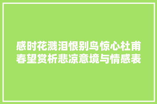 感时花溅泪恨别鸟惊心杜甫春望赏析悲凉意境与情感表达