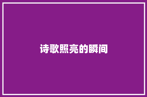 诗歌照亮的瞬间
