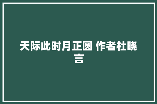 天际此时月正圆 作者杜晓言