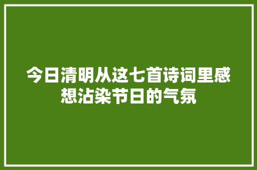 今日清明从这七首诗词里感想沾染节日的气氛