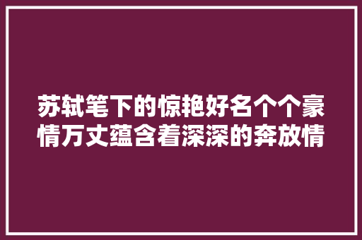 苏轼笔下的惊艳好名个个豪情万丈蕴含着深深的奔放情怀