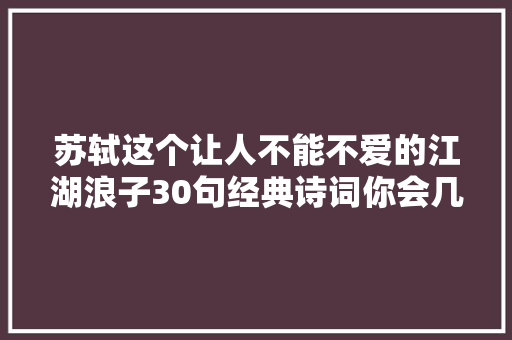 苏轼这个让人不能不爱的江湖浪子30句经典诗词你会几句