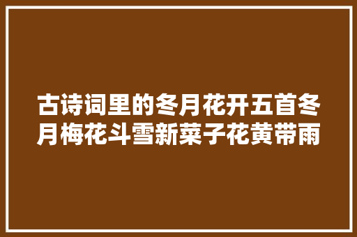 古诗词里的冬月花开五首冬月梅花斗雪新菜子花黄带雨新