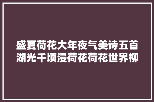 盛夏荷花大年夜气美诗五首湖光千顷浸荷花荷花世界柳丝乡