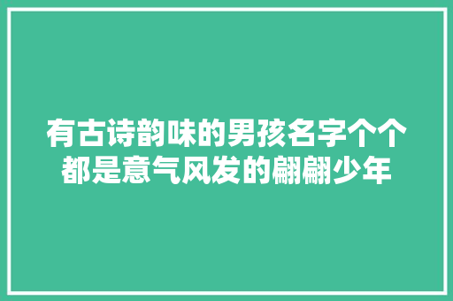 有古诗韵味的男孩名字个个都是意气风发的翩翩少年