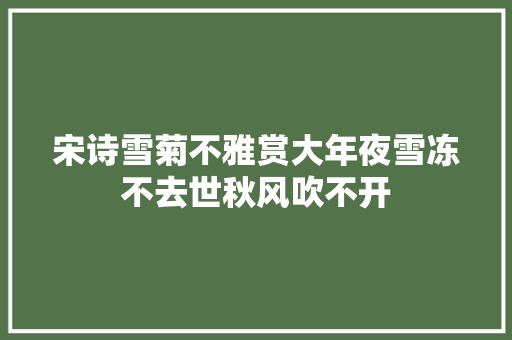 宋诗雪菊不雅赏大年夜雪冻不去世秋风吹不开