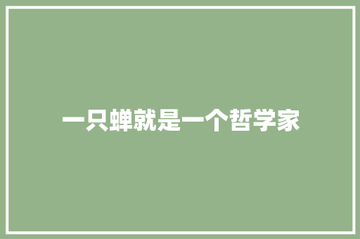 一只蝉就是一个哲学家