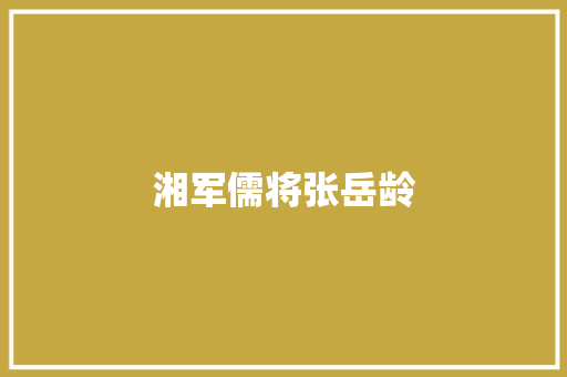 湘军儒将张岳龄