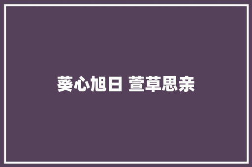 葵心旭日 萱草思亲