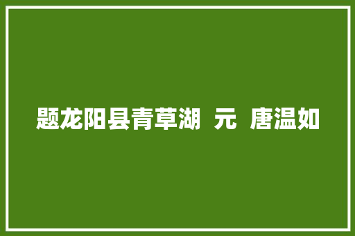 题龙阳县青草湖  元  唐温如