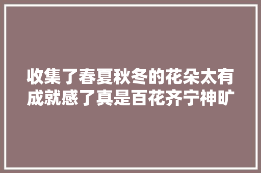 收集了春夏秋冬的花朵太有成就感了真是百花齐宁神旷神怡。