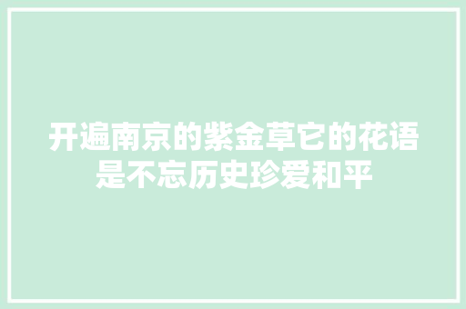 开遍南京的紫金草它的花语是不忘历史珍爱和平