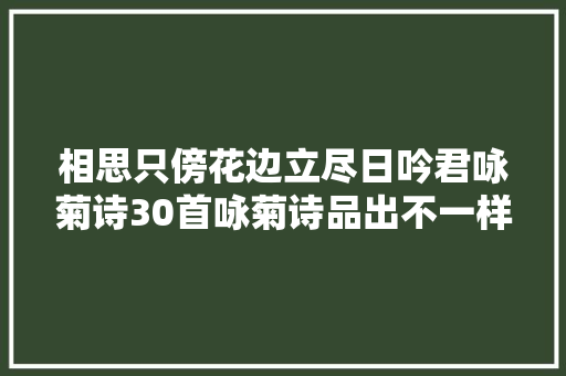 相思只傍花边立尽日吟君咏菊诗30首咏菊诗品出不一样菊