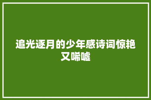 追光逐月的少年感诗词惊艳又唏嘘
