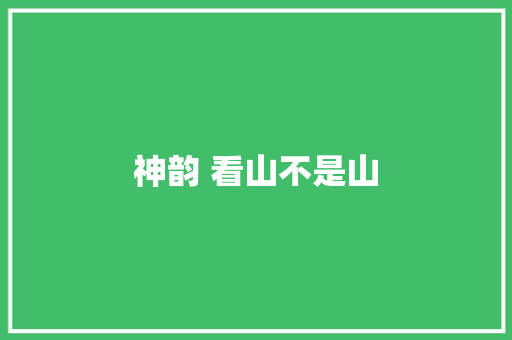 神韵 看山不是山