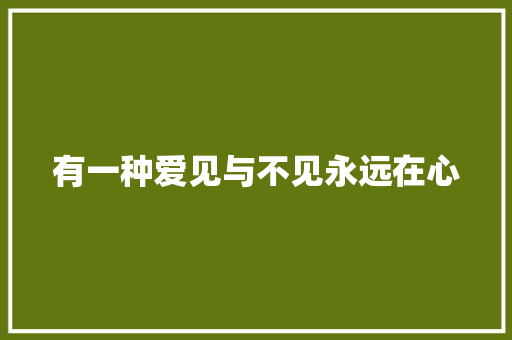 有一种爱见与不见永远在心