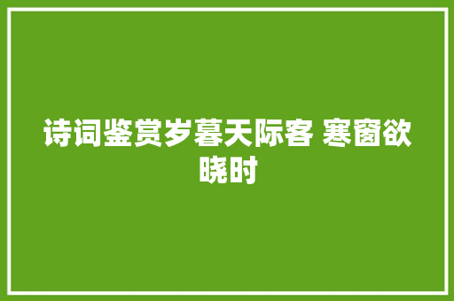 诗词鉴赏岁暮天际客 寒窗欲晓时