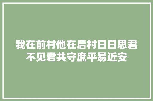 我在前村他在后村日日思君不见君共守庶平易近安