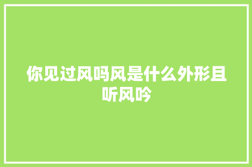 你见过风吗风是什么外形且听风吟