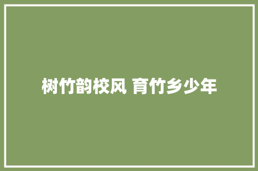 树竹韵校风 育竹乡少年