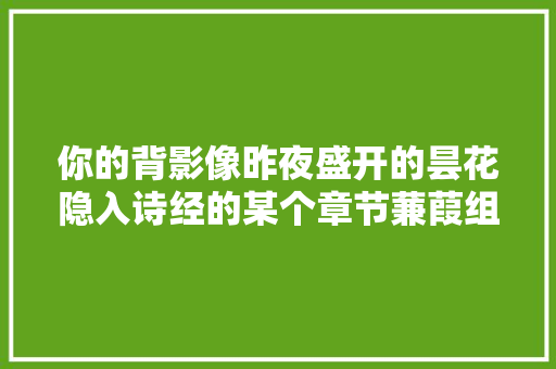 你的背影像昨夜盛开的昙花隐入诗经的某个章节蒹葭组诗