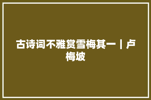 古诗词不雅赏雪梅其一｜卢梅坡