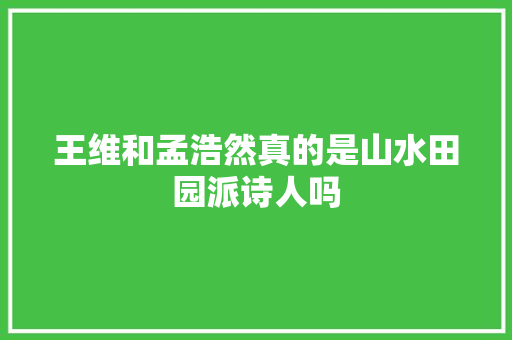 王维和孟浩然真的是山水田园派诗人吗