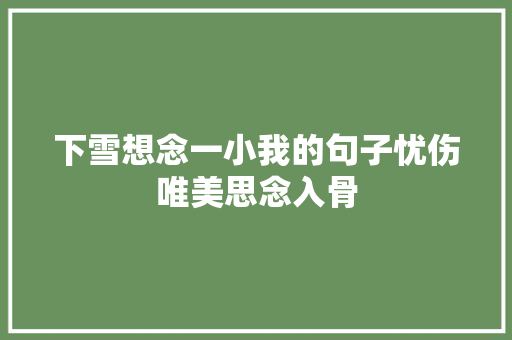 下雪想念一小我的句子忧伤唯美思念入骨