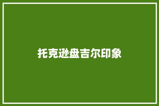 托克逊盘吉尔印象