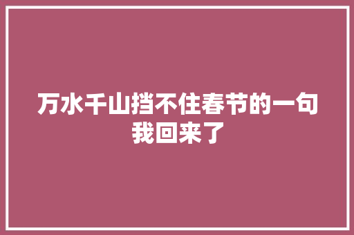 万水千山挡不住春节的一句我回来了