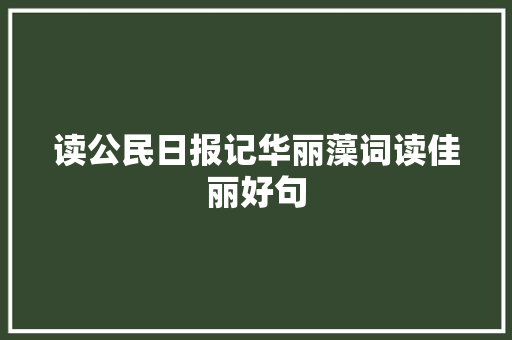 读公民日报记华丽藻词读佳丽好句