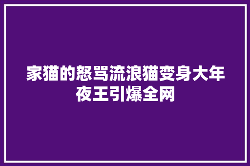 家猫的怒骂流浪猫变身大年夜王引爆全网
