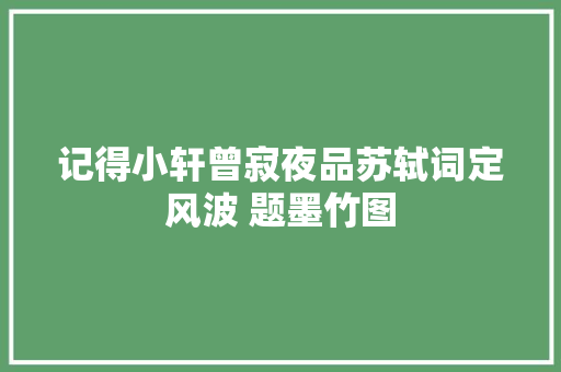 记得小轩曾寂夜品苏轼词定风波 题墨竹图