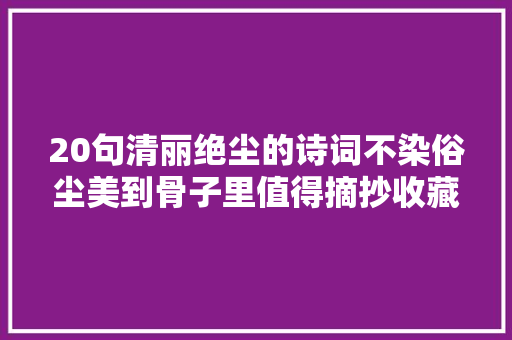 20句清丽绝尘的诗词不染俗尘美到骨子里值得摘抄收藏