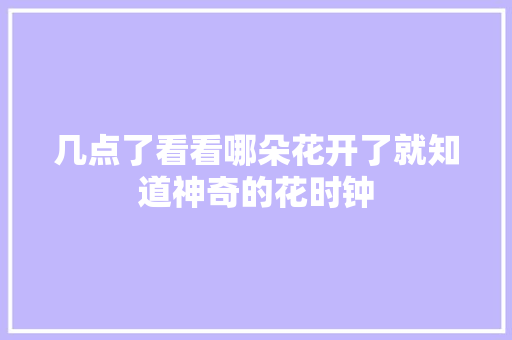 几点了看看哪朵花开了就知道神奇的花时钟