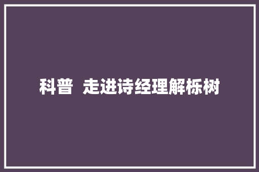 科普  走进诗经理解栎树