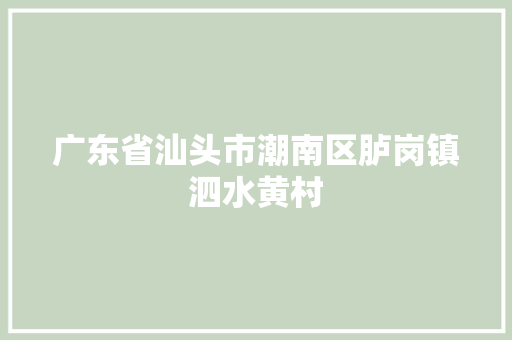 广东省汕头市潮南区胪岗镇泗水黄村