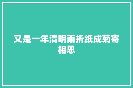 又是一年清明雨折纸成菊寄相思