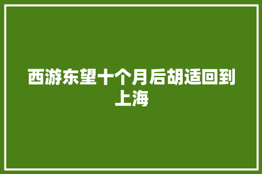 西游东望十个月后胡适回到上海