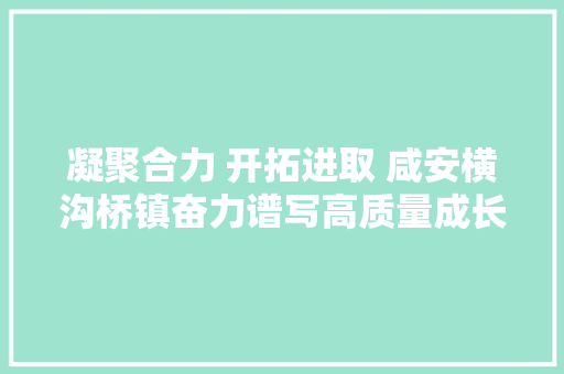 凝聚合力 开拓进取 咸安横沟桥镇奋力谱写高质量成长新篇章