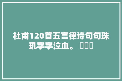 杜甫120首五言律诗句句珠玑字字泣血。 ​​​