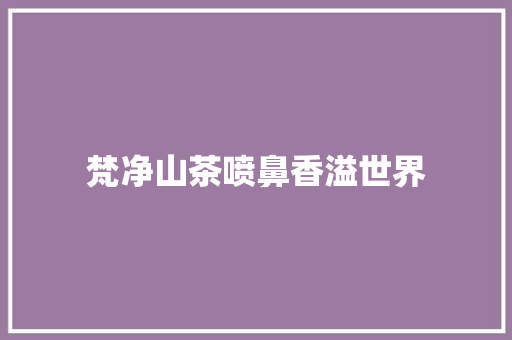梵净山茶喷鼻香溢世界